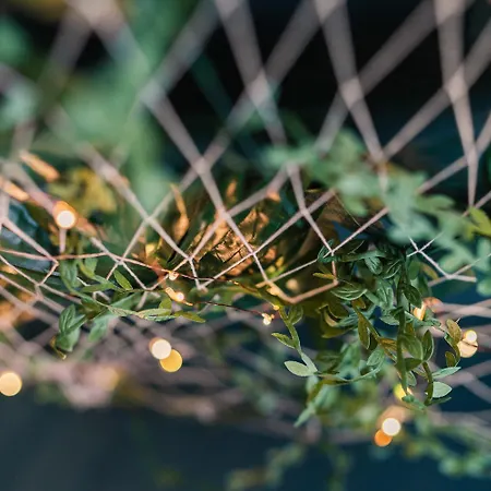 Residenz Cheval - Jumanji - - Bodensee